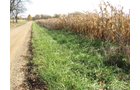 Property photo 1 - 212 Acres Offered in 6 Tracts - Selling Regardless of Price
